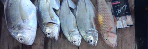 yogaFREEMOTUS Profile Banner