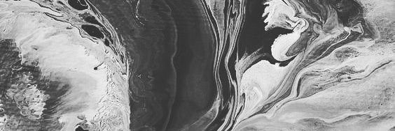 habifarid's profile banner image