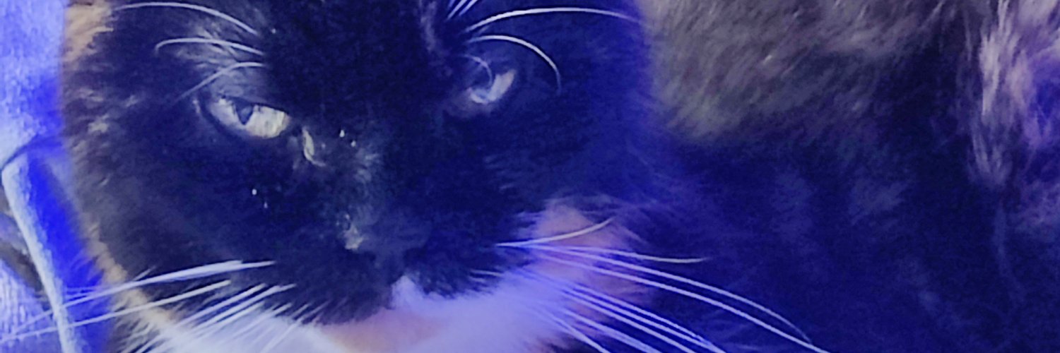 Kalle Klarname🔴🔴🔴📯💉x666 LMAA, Sarkasmus pur banner