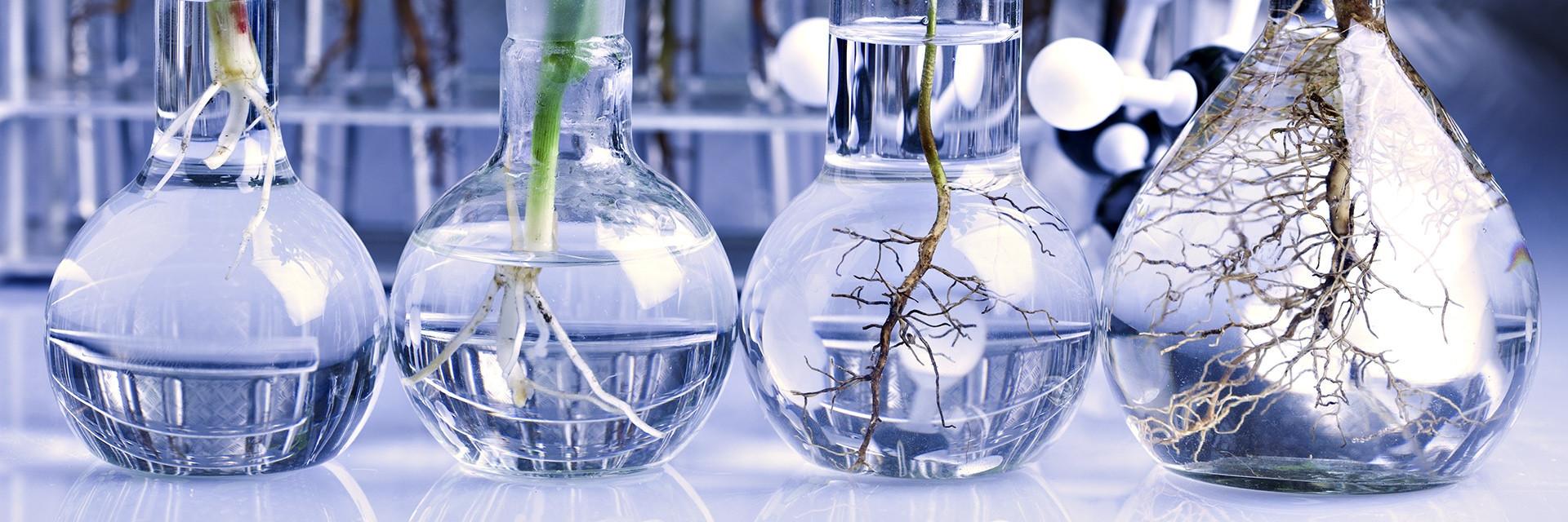 Tras el Matraz banner