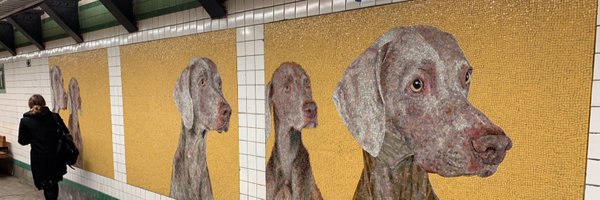 dislaw Profile Banner