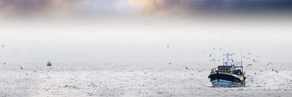 redgrupospesca Profile Banner