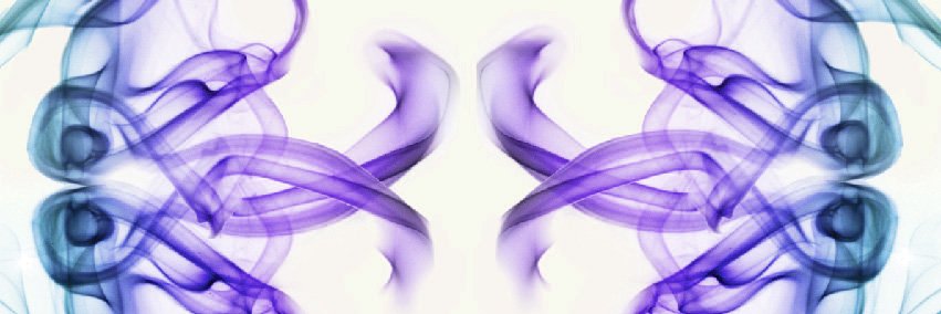 DinaSemsch's profile banner image