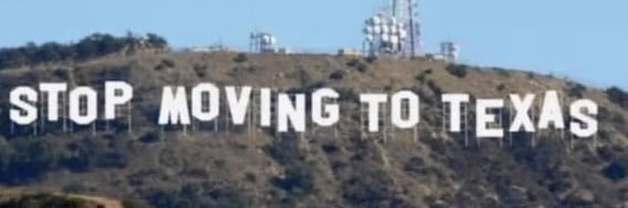 Leo’s Groove♌️ banner