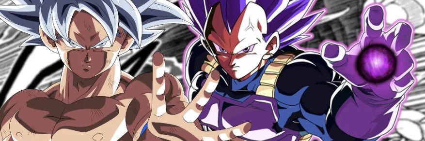 Raripu91's profile banner image