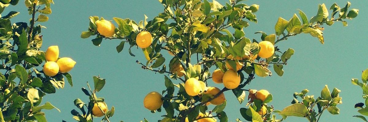 GoghAlive's profile banner image
