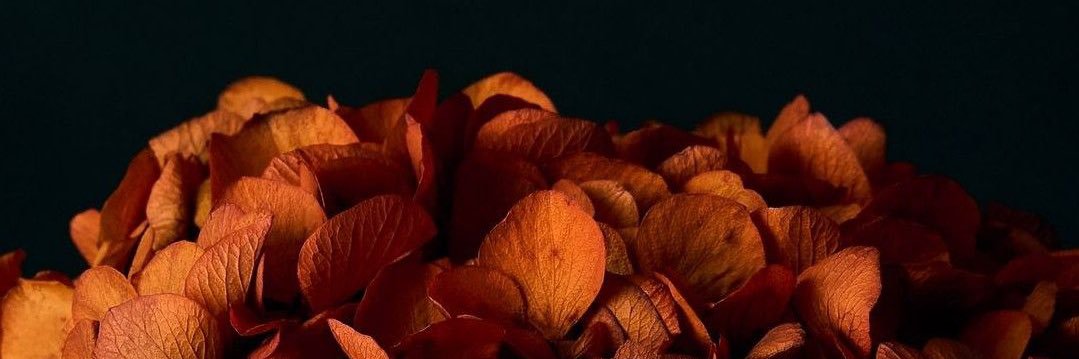 Allimac333's profile banner image