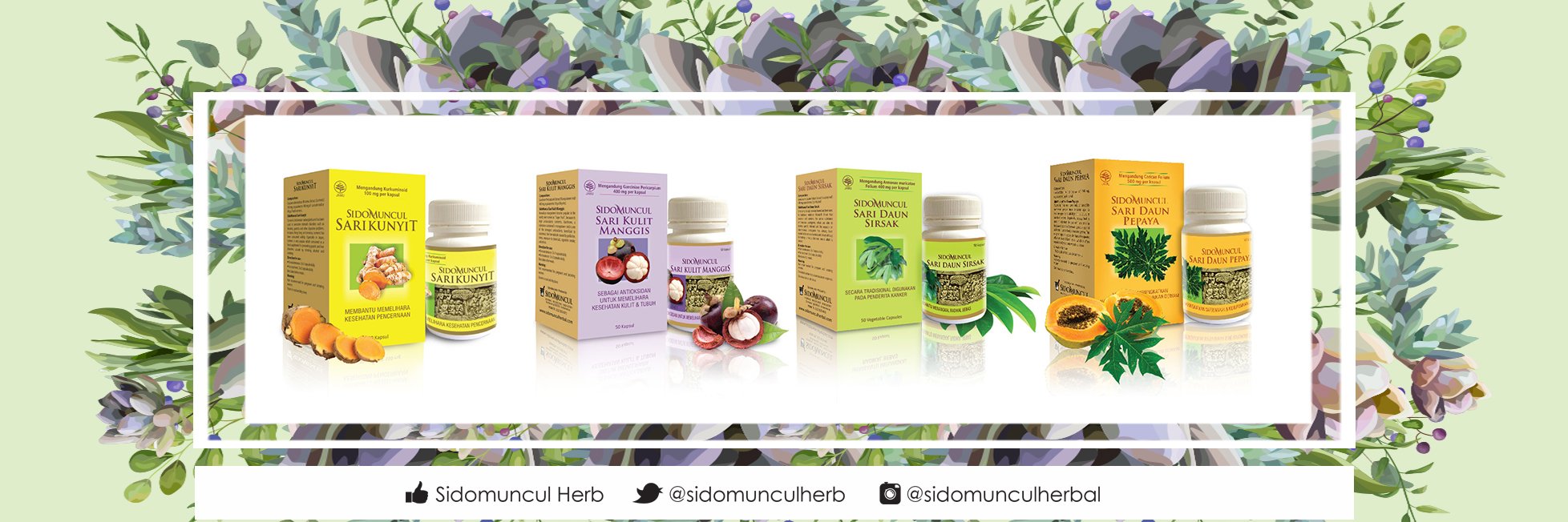 sidonatural's profile banner image