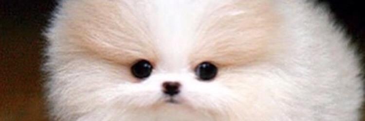 Jphillips224's profile banner image
