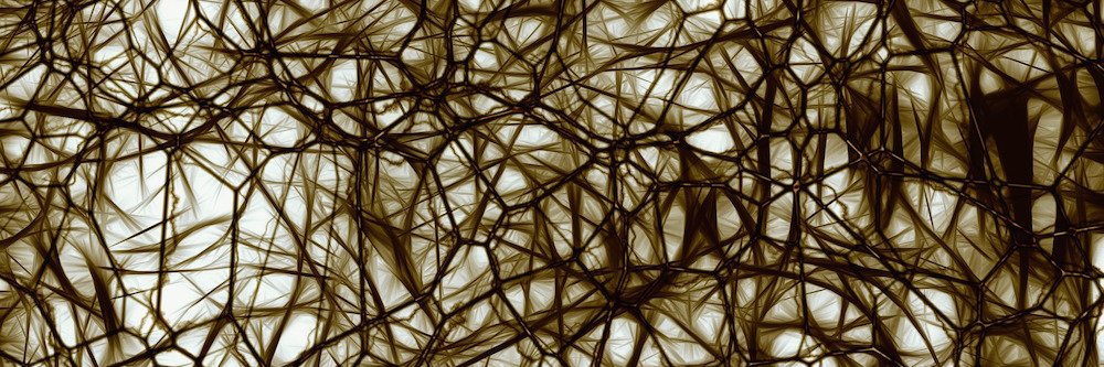 baubrainlab's profile banner image