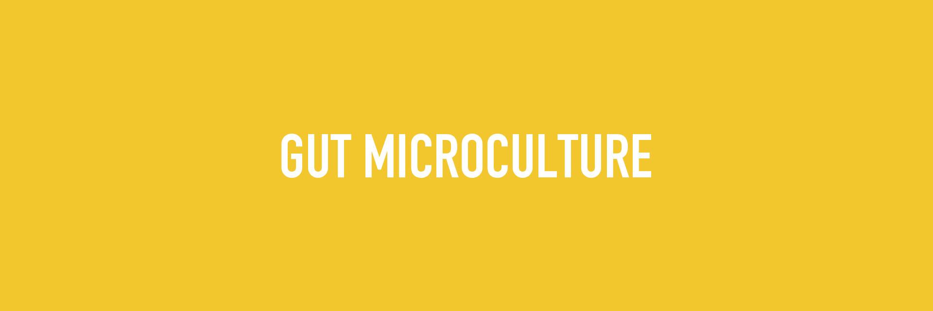 MicroCultGut's profile banner image