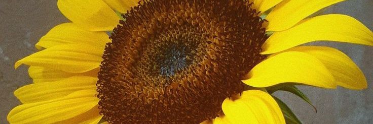 AissaBenali's profile banner image