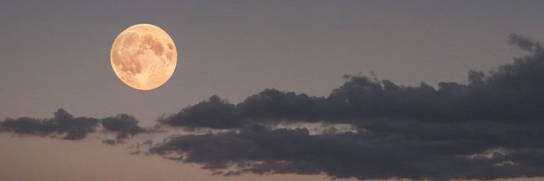 Pepapiola's profile banner image