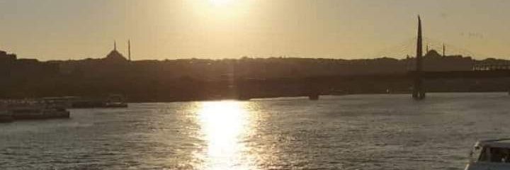 nzktunal's profile banner image