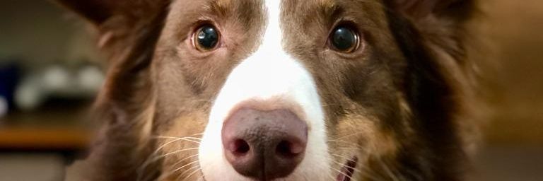 darisonfaria's profile banner image