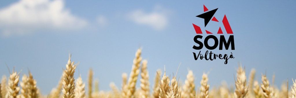 somvoltrega's profile banner image
