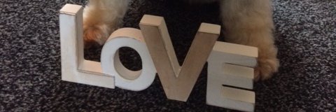 lindseybailey's profile banner image