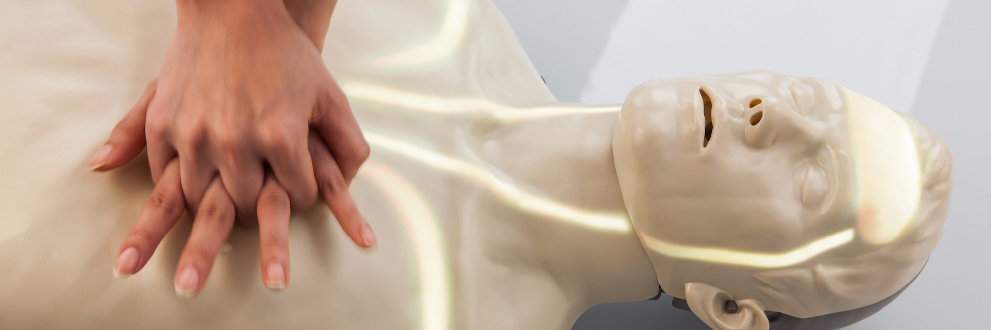 Brayden Manikin banner