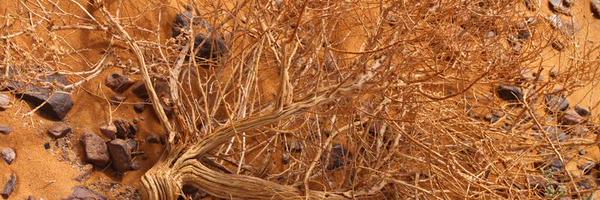 martix_m Profile Banner