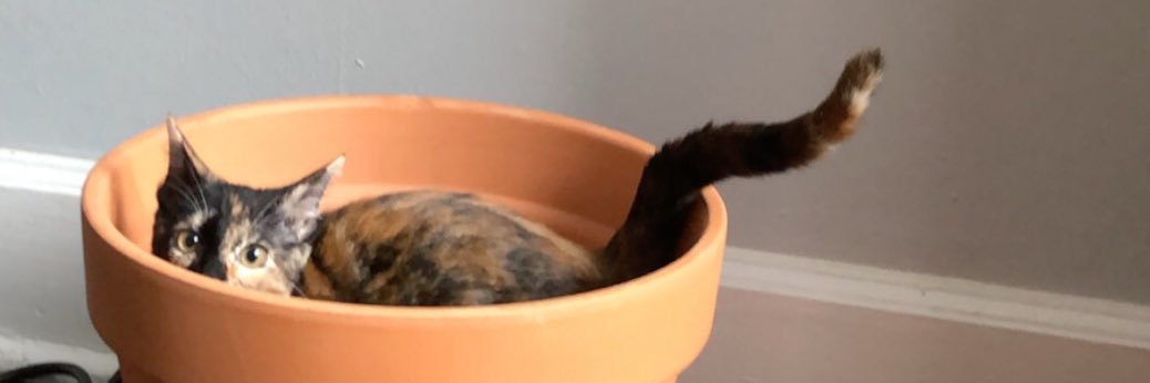 coffergrinnin's profile banner image