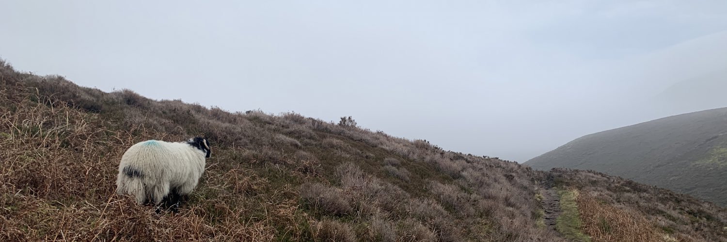 NathanRubins_'s profile banner image