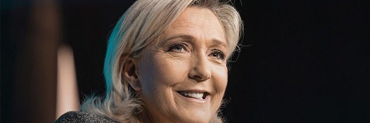 Dominique Bilde banner