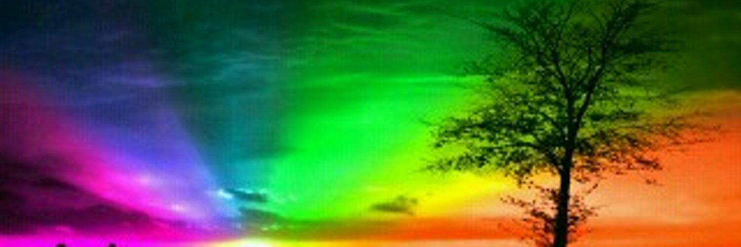 modestoesau's profile banner image