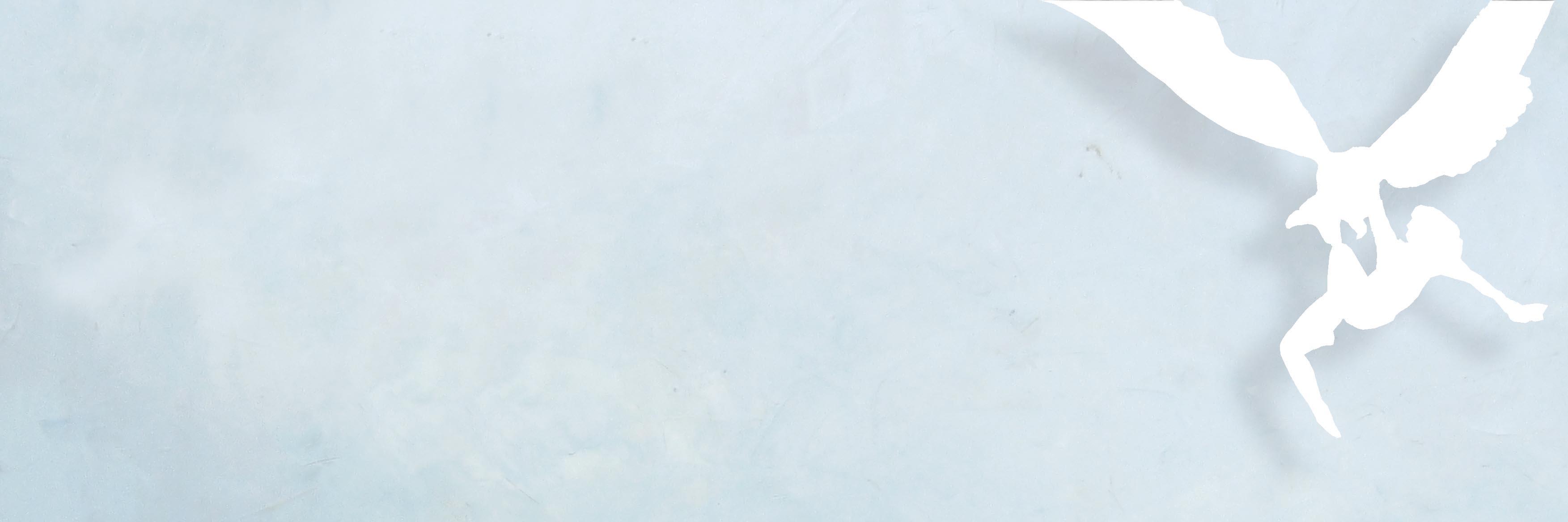 FHammerbacher's profile banner image