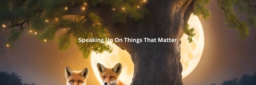 speakup47's profile banner image