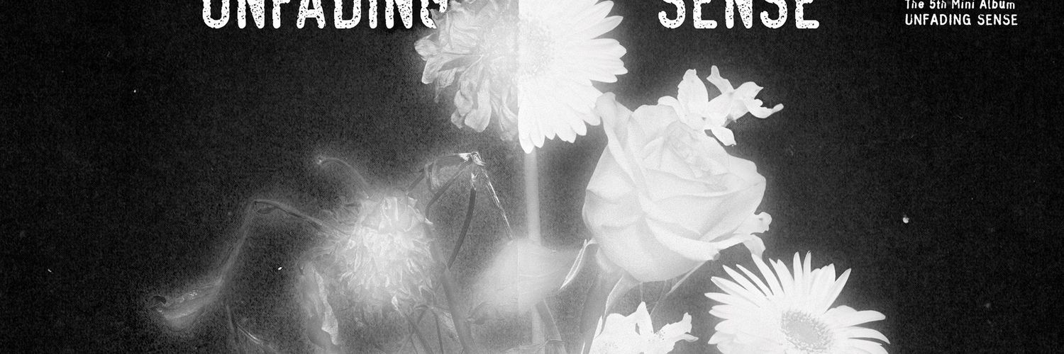 halbaragi_'s profile banner image