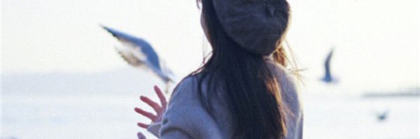 pushchippy's profile banner image