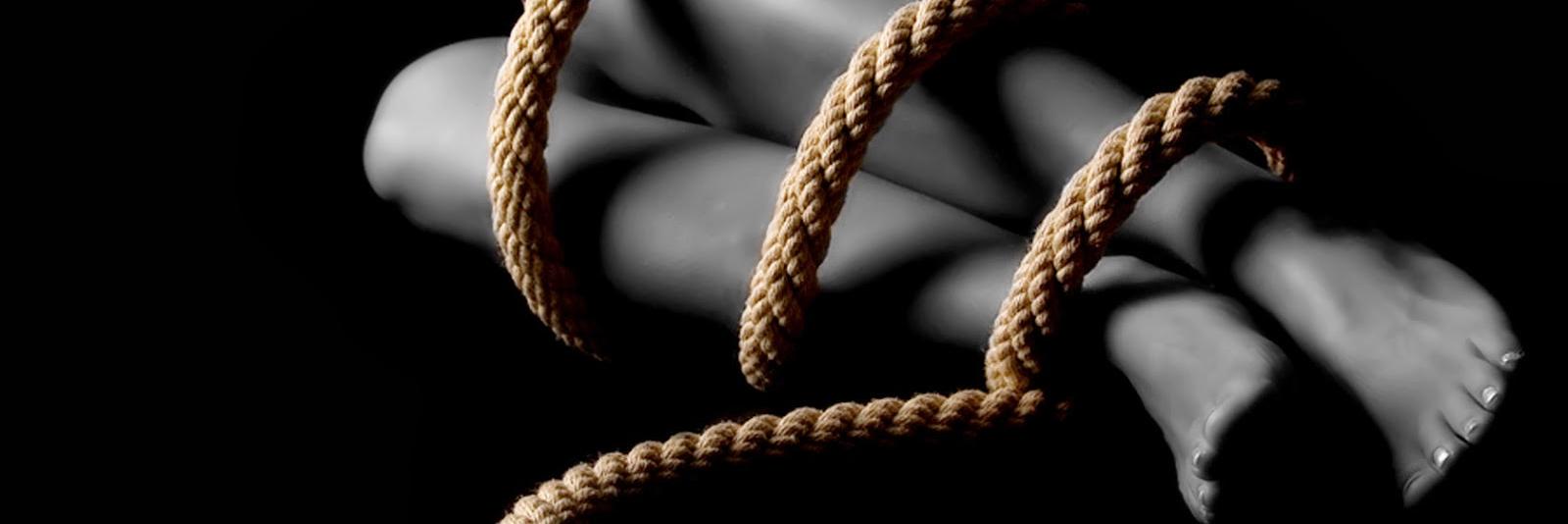 griselmar69's profile banner image