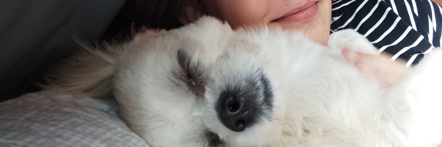PorteiraDaVid4's profile banner image