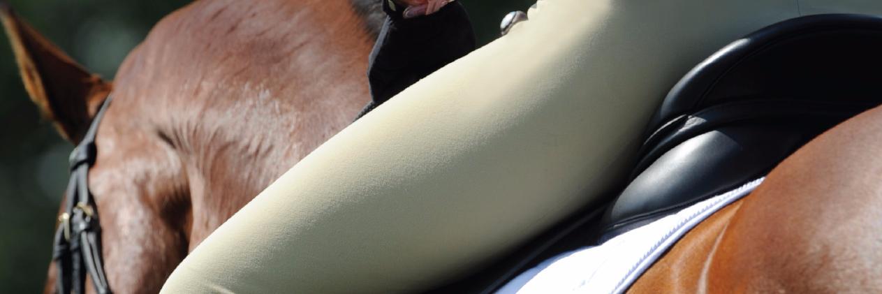 Kent and Masters banner