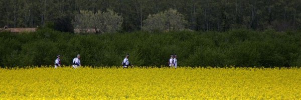 reeoro Profile Banner