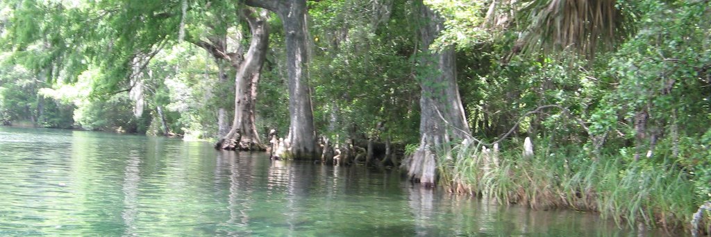 Native-FL banner