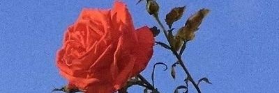 tomyvalentin1's profile banner image
