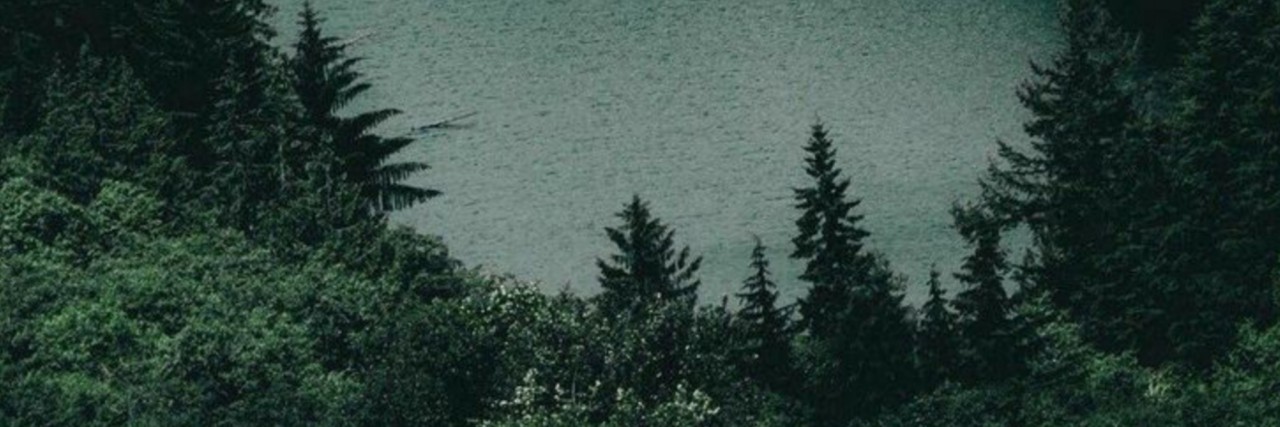 faerypit's profile banner image