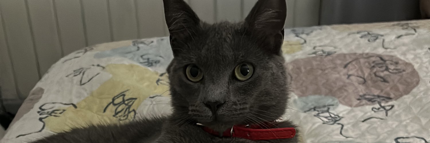 CaamilaVera's profile banner image