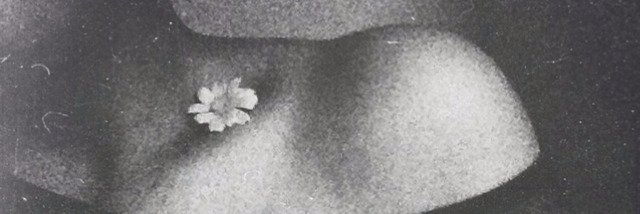 CiselBesen's profile banner image