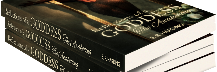 SashaRHarding's profile banner image