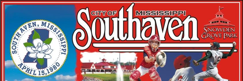 Snowden Baseball banner