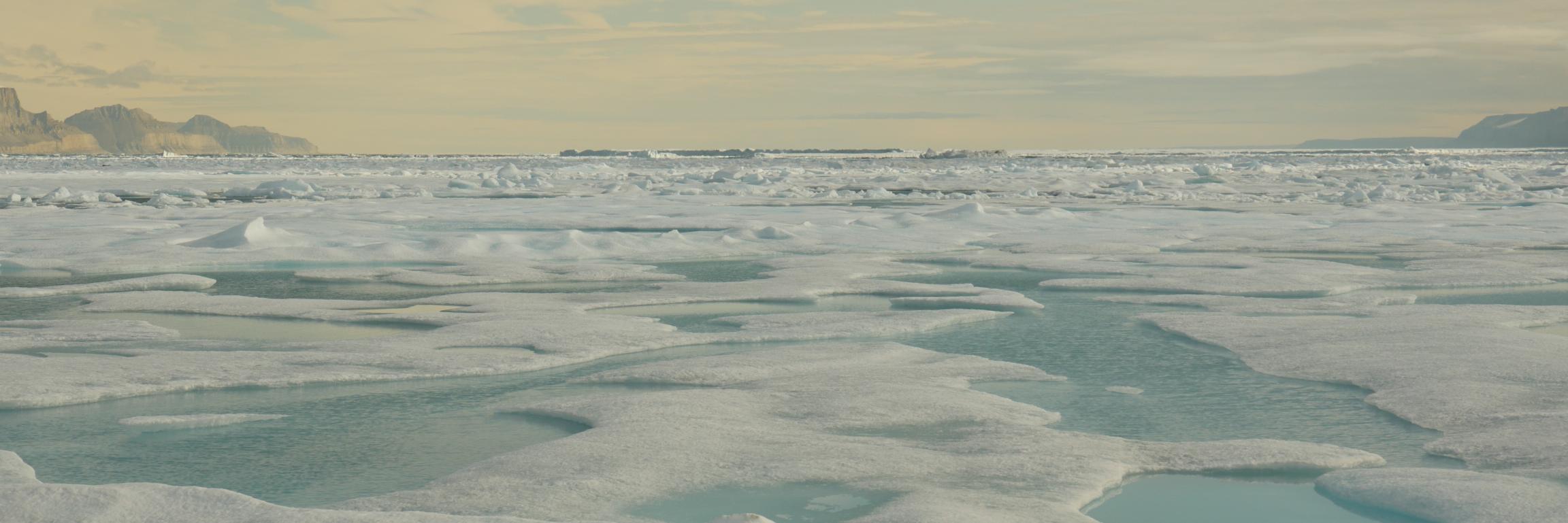77thParallel's profile banner image