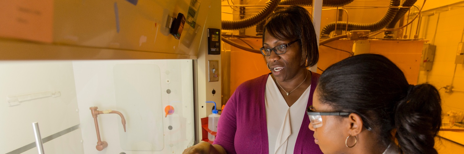 Gomillion Lab banner