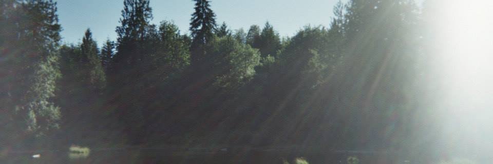 sheina lew-levy banner