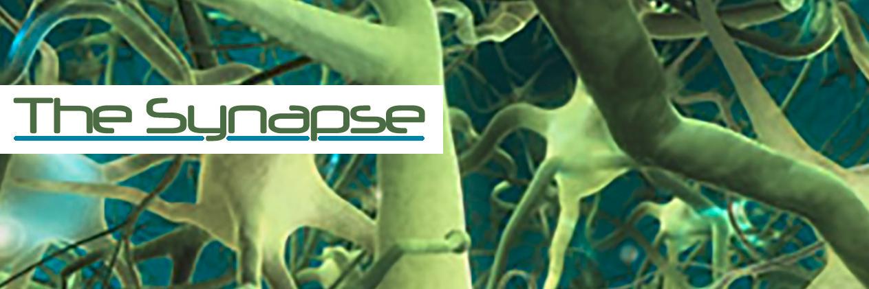 The Synapse banner