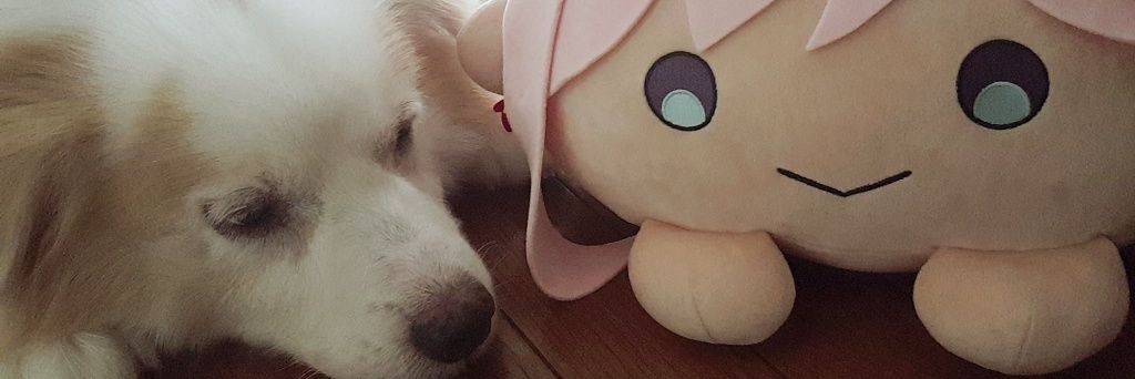 Rewasabistar's profile banner image