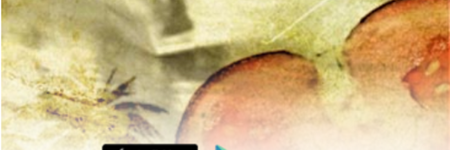 hebertray1's profile banner image
