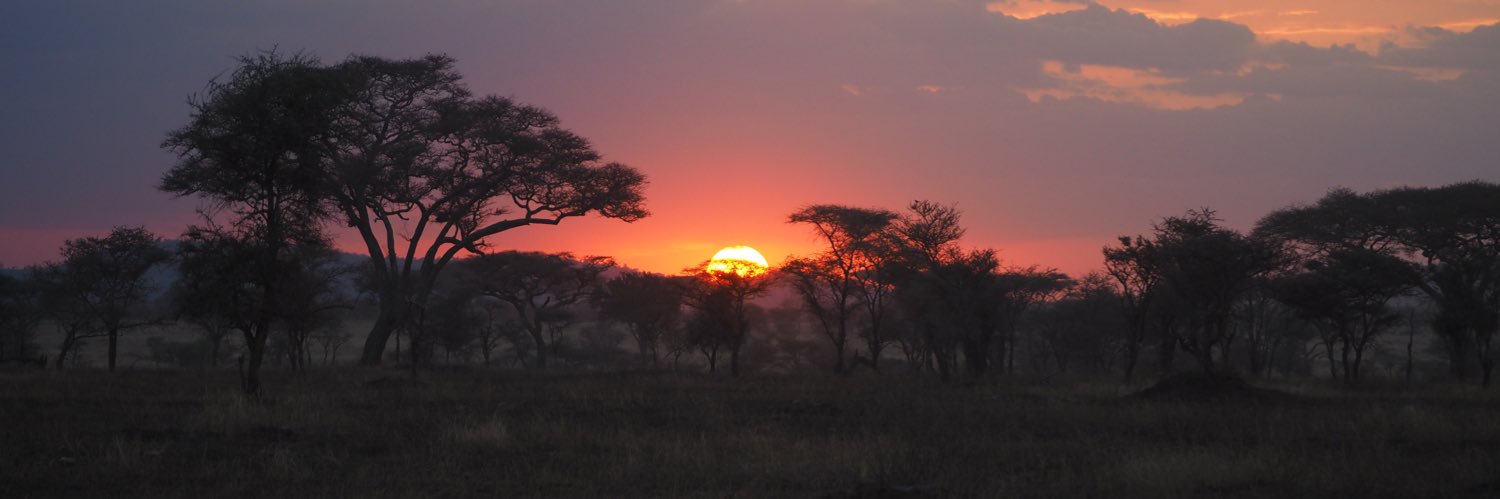 Pere Pérez-P. Cusó banner