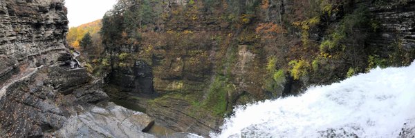 avanhatt Profile Banner